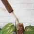 Coir Plant Totem - Plantsmith | Indoor Plants Melbourne